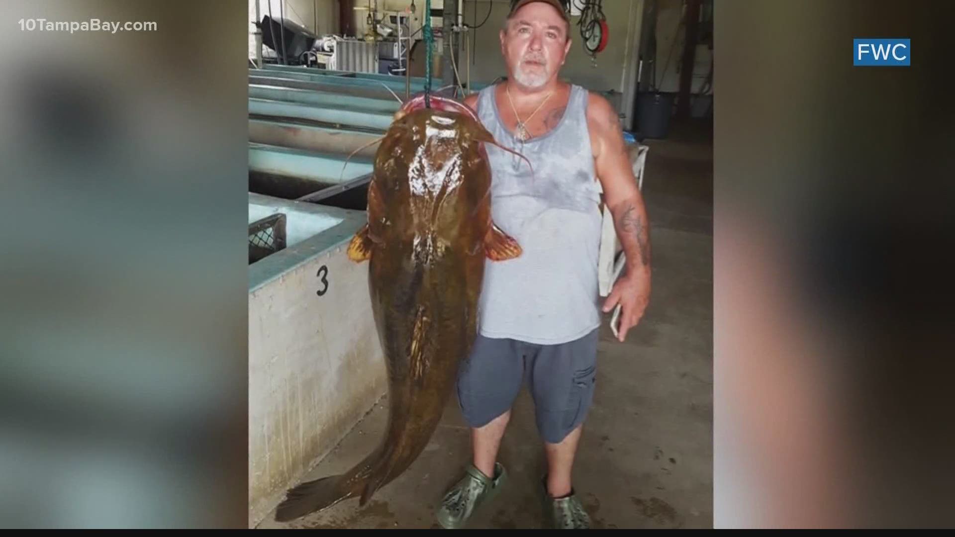 Florida Fisherman Catches Record Breaking Flathead Catfish Wmaz