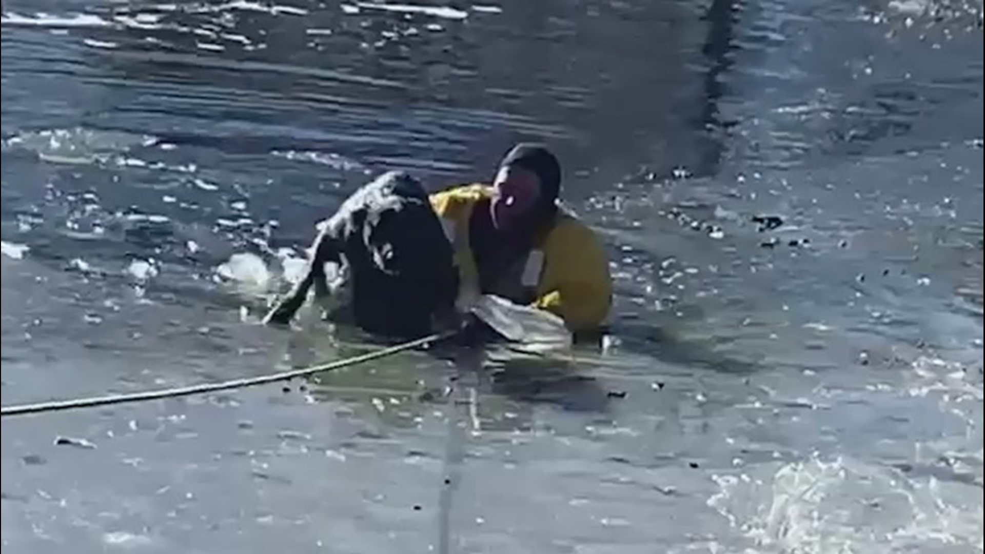 Firefighters responded to a call to rescue a dog trapped in a frozen pond at Sterne Park in Littleton, Colorado, on Jan. 16.