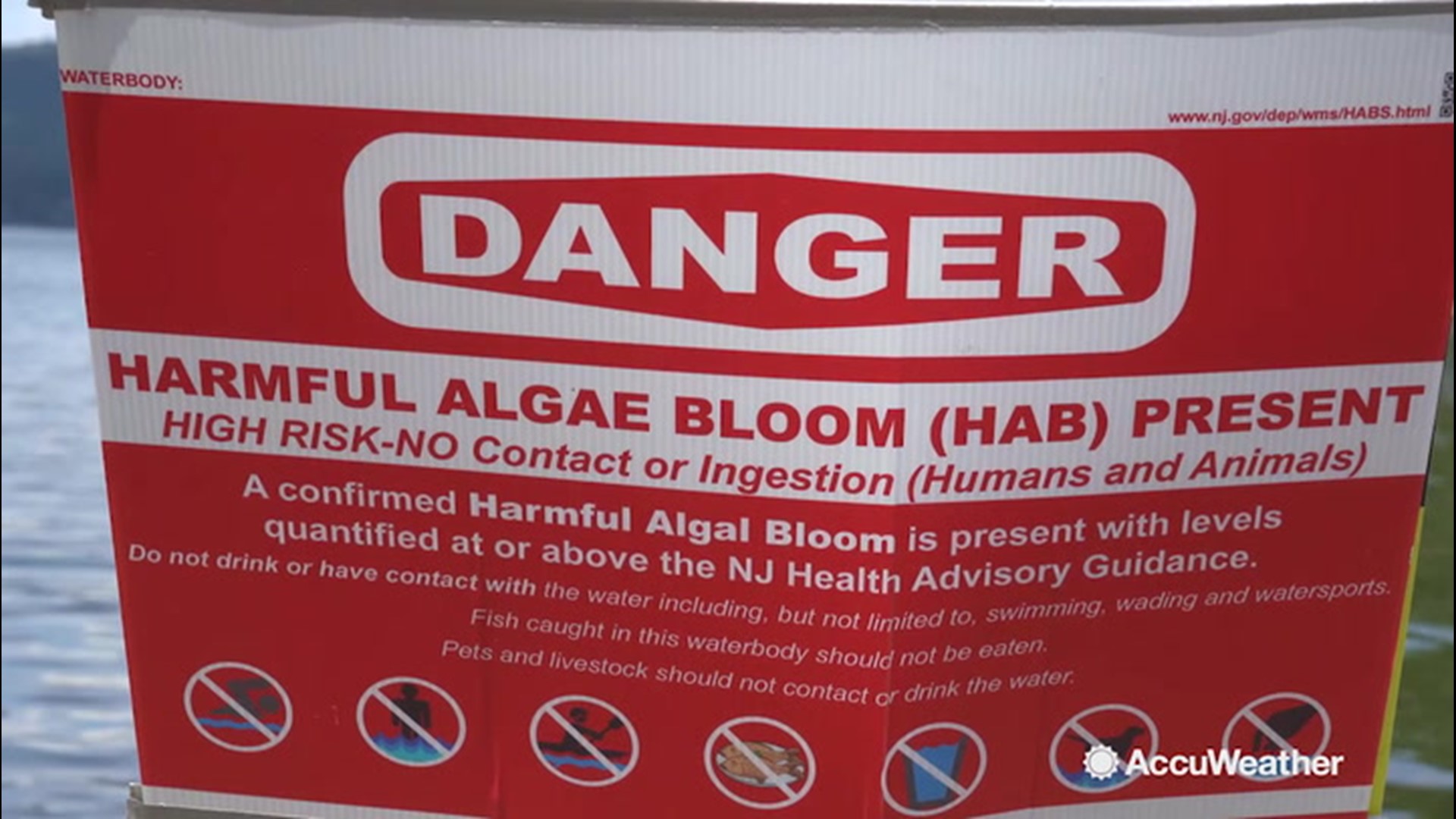 A harmful bloom of algae was confirmed to be present in Lake Hopatcong, New Jersey, keeping people out of the water. On Aug. 22, Jonathan Petramala visited the lake to hear what residents had to say, but the beach was practically empty.
