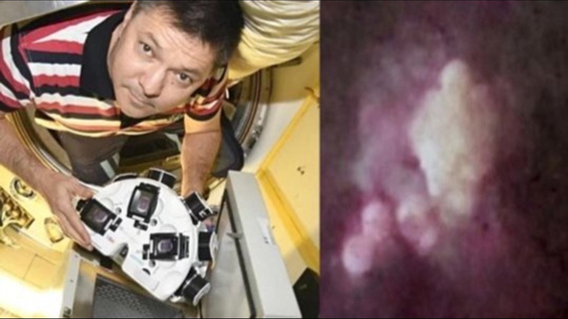 Cosmonaut Oleg Kononenko assembled human cartilage in space using magnetic fields while on board the International Space Station.