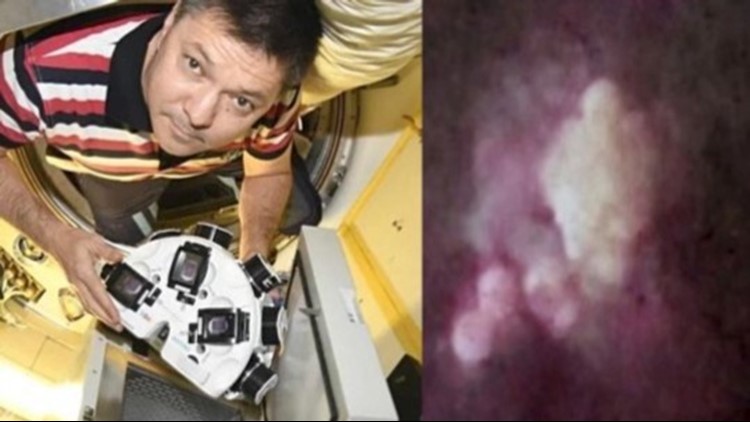 Human Cartilage in Space? Is It Possible?