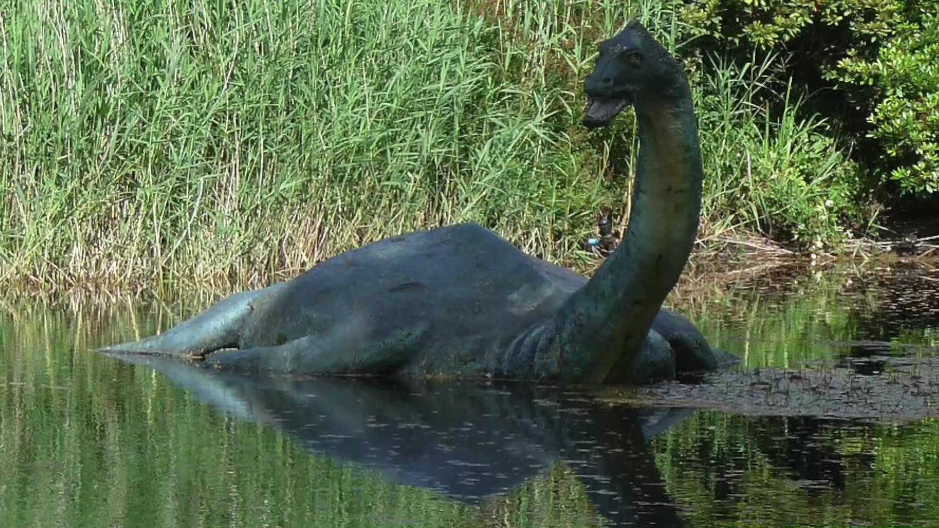 Legend Of Loch Ness Monster Will Be Tested With Dna Samples 13wmaz Com