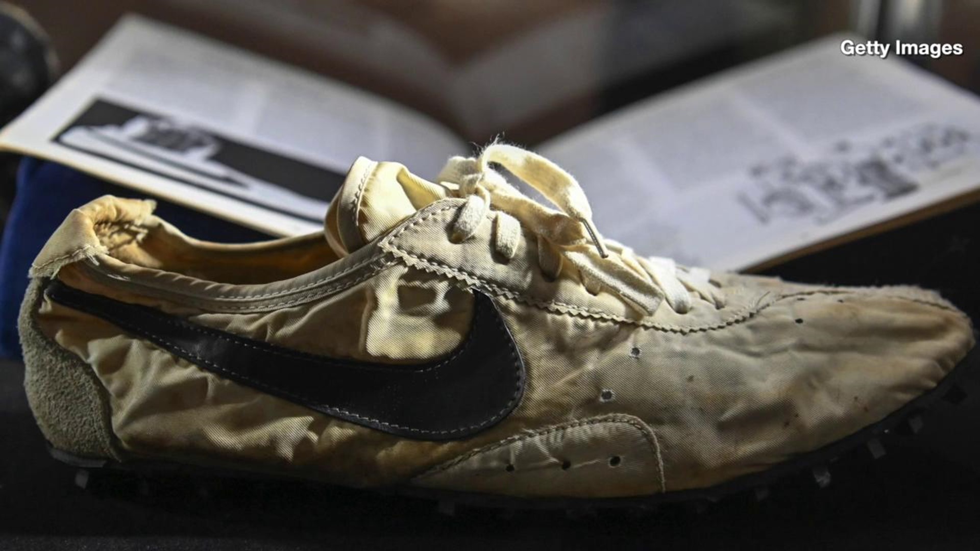 nike waffle moon shoe
