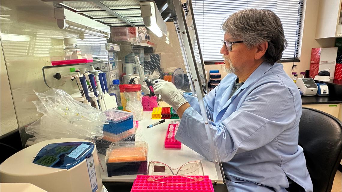 17 Americans aboard hantavirus cruise ship may quarantine in Nebraska