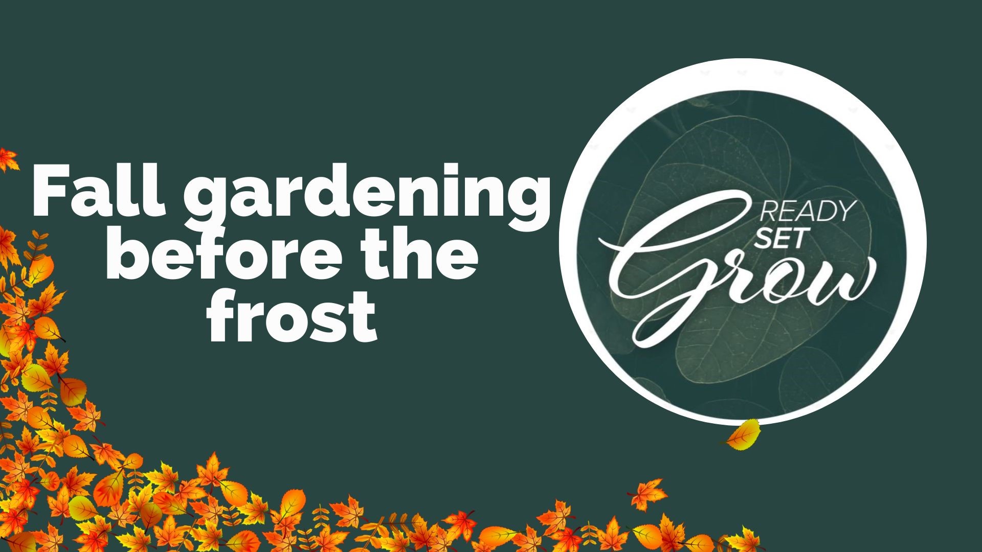 How to prepare your gardens and plants for the cold and frost, as well as tips to cleaning up leaves from yards and the science behind fall foliage.