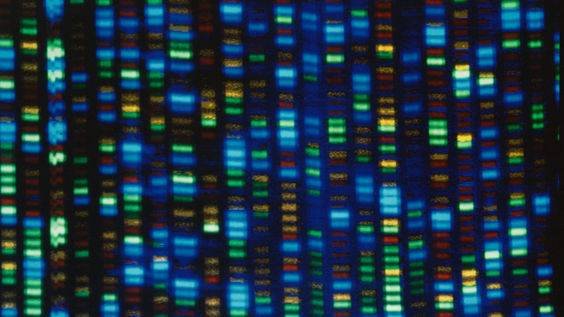 Human genome decoded fully | 13wmaz.com - Vimarsana News