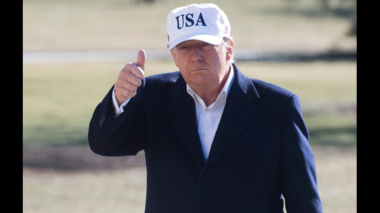 U.S. senator suggests using Constitution to oust Trump