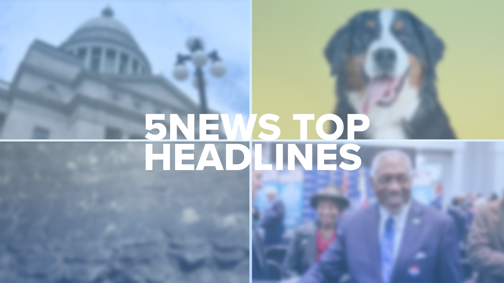 Take a look at some of the top headlines you may have missed this week for local news across our area!
