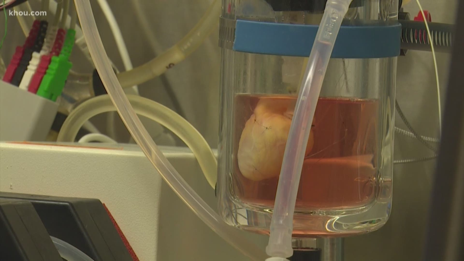 The Texas Heart Institute has a team of people trying to build hearts needed for life-saving transplants.