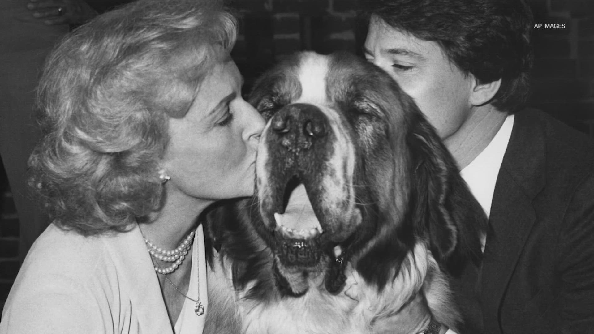 The social media challenge encourages people to donate to animal shelters in Betty White's name on January 17, which would have been her 100th birthday.