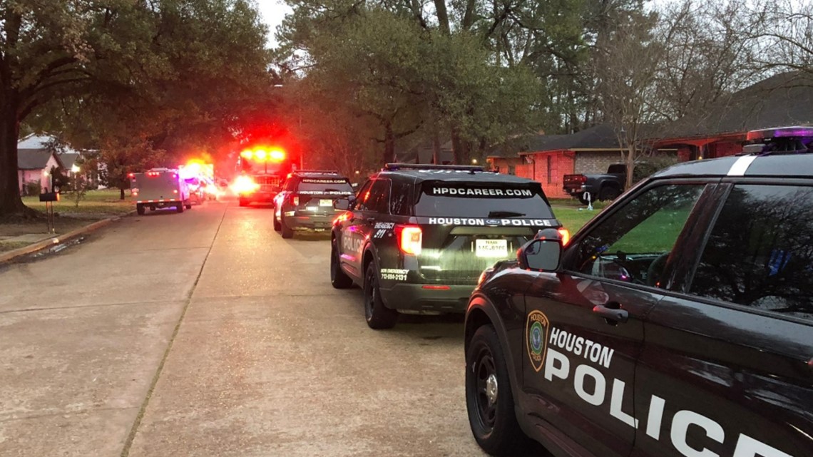 Deadly Dog Attack In Acres Homes Area | Houston, Texas News | 13wmaz.com