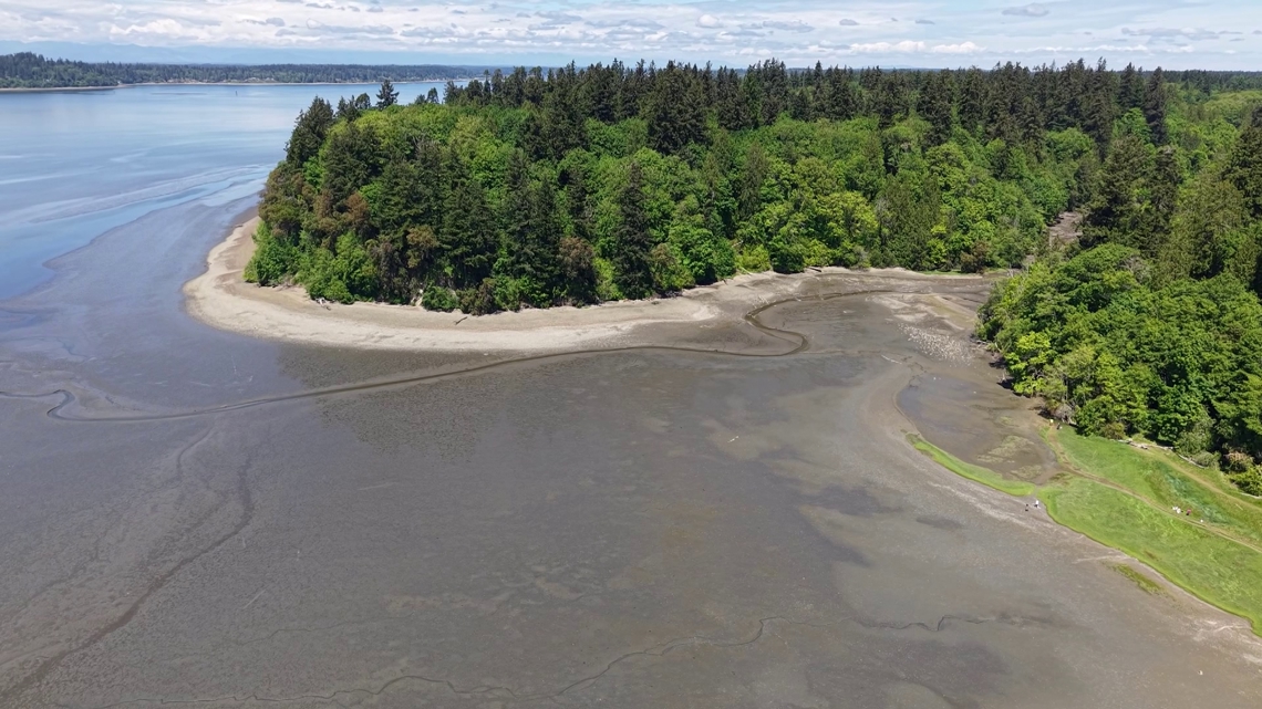 Woman trapped in mud rescued from rising tide: 'We were racing against time'