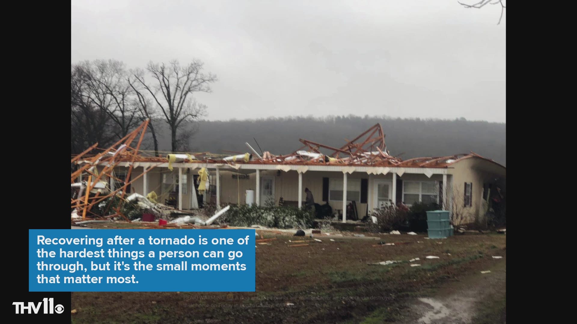 Julie Moore shared photos of a beautiful reunion of a dog and their owner after an EF2 tornado destroyed a Logan County home over the weekend.