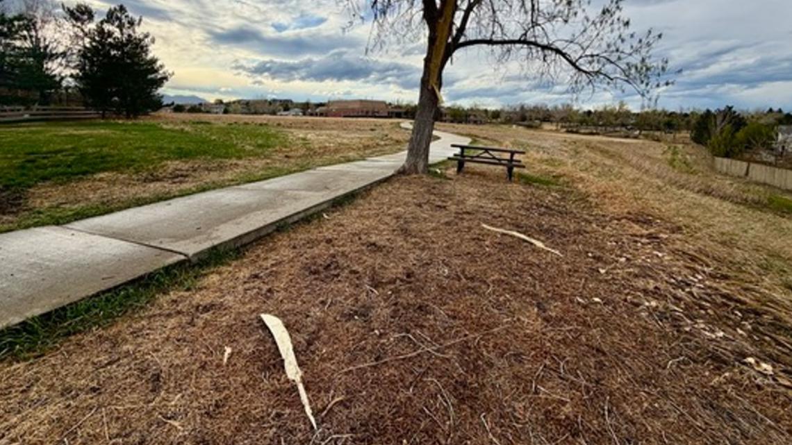 Woman remains unidentified after being struck by lightning on Colorado walking path