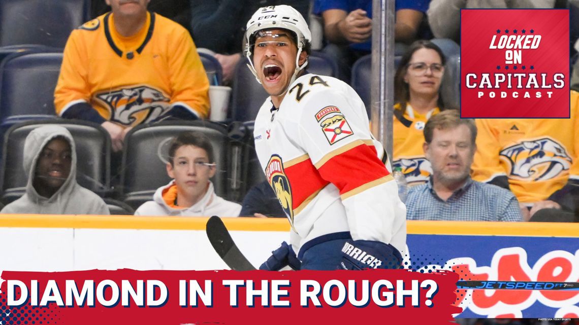 Justin Sordif's Arrival A Diamond in the Rough for the Capitals