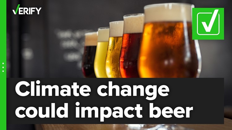 Fact-checking if climate change could impact the production of beer