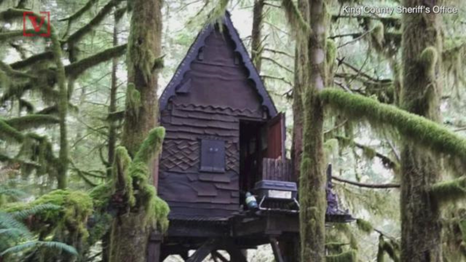 Inside this treehouse that looks like something out of a fairy tale, federal officials found a stash of child pornography.