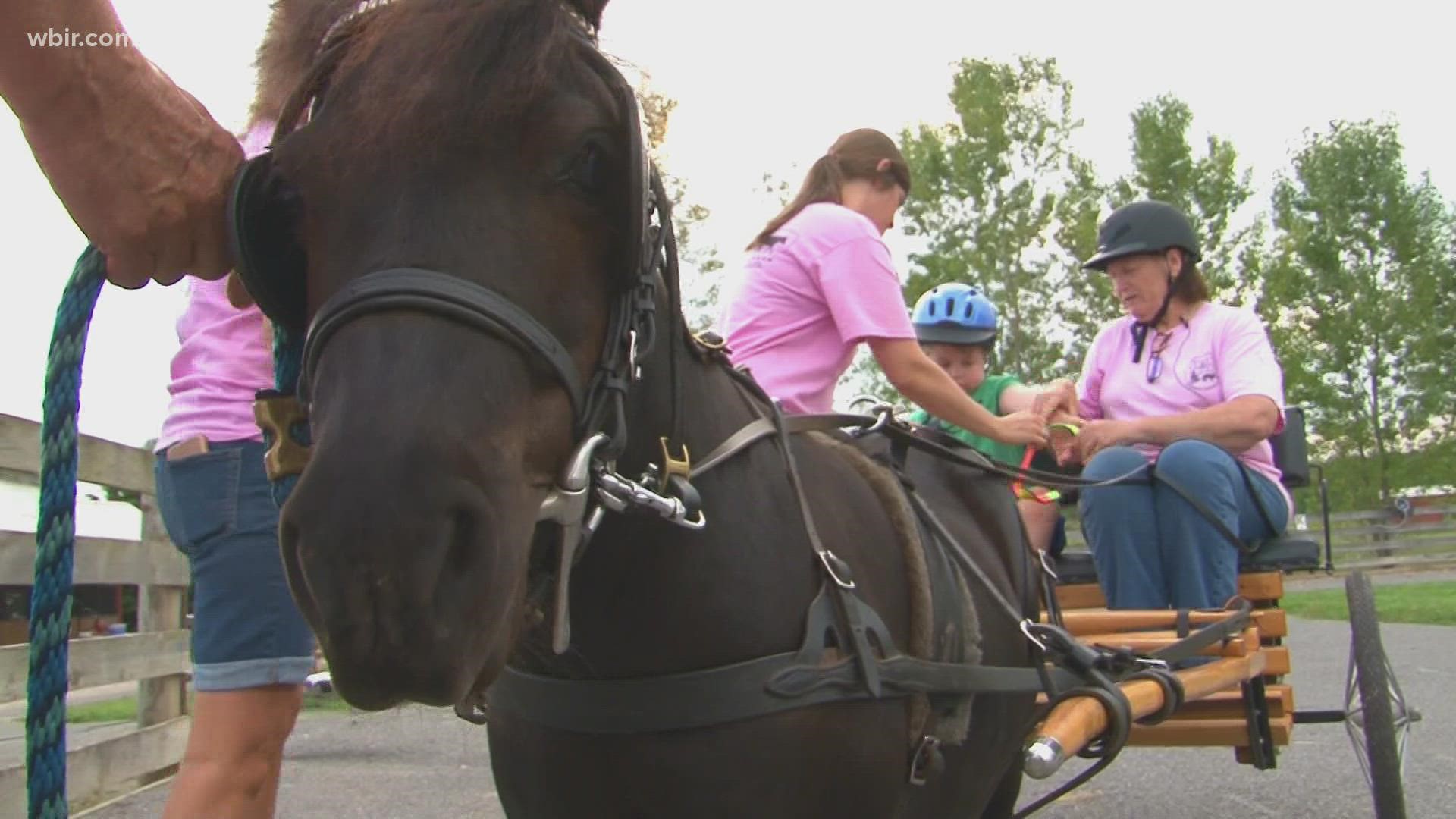 in Strawberry Plains, a 7-year-old is making strides in recovery after battling leukemia for some years.