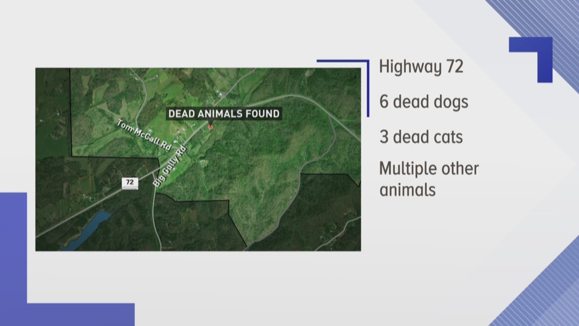 When deputies entered the mobile home, multiple dead animals were found in cages. Multiple animals were also running around the house, according to the Blount County Sheriff's Office.