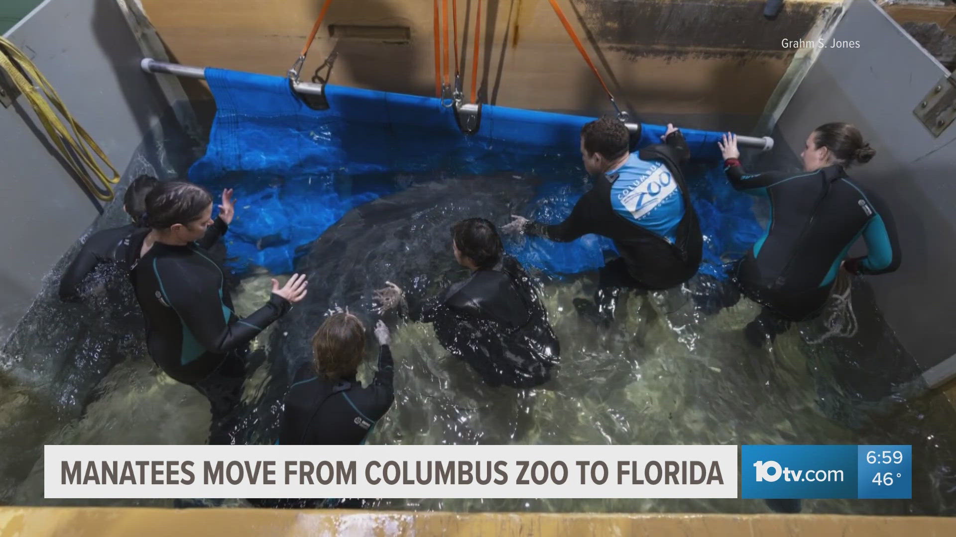 Ohio zoos rehabilitate 6 manatees for return to Florida waters | 13wmaz.com