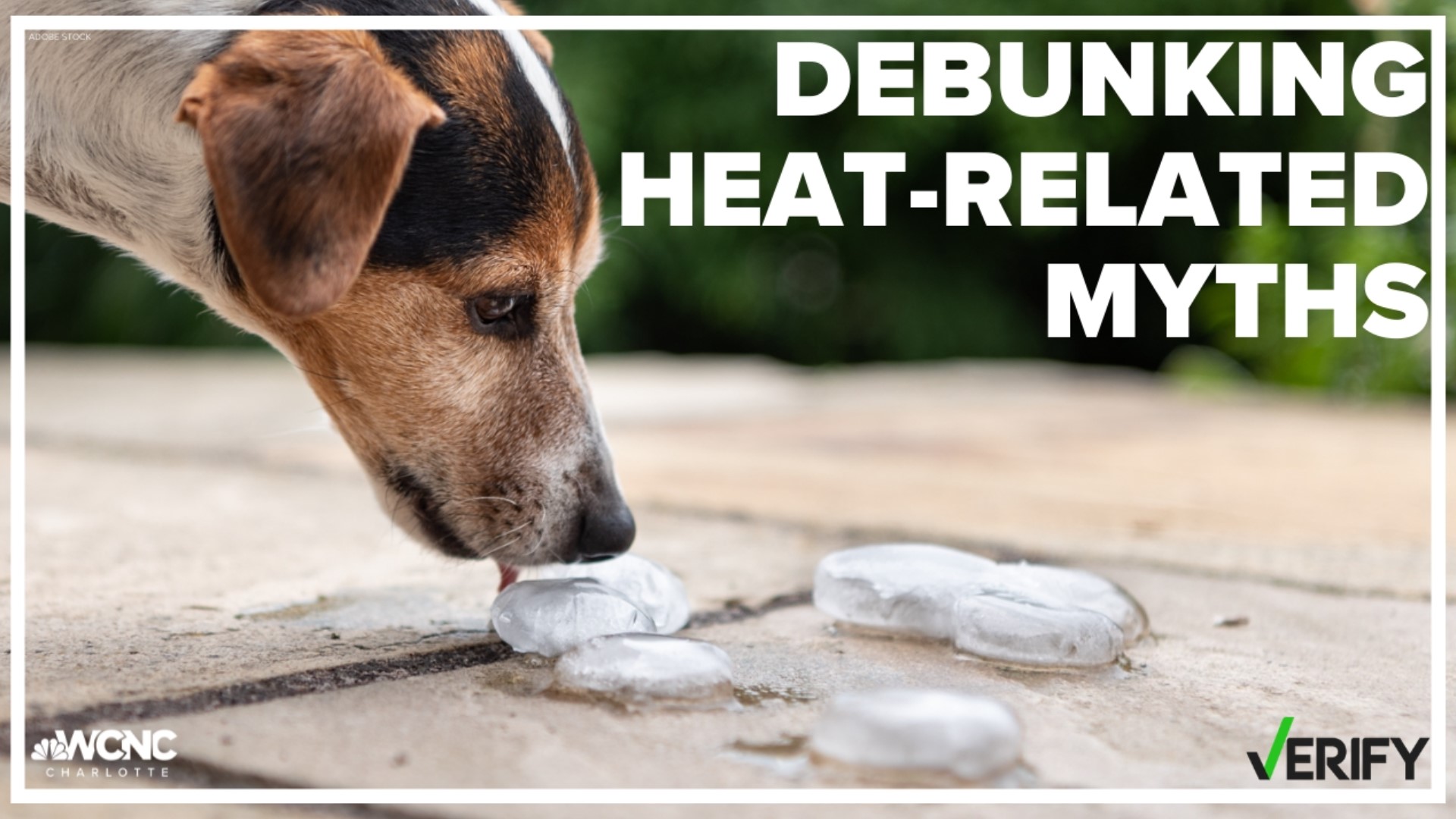 Ahead of more high temperatures for the Carolinas, the VERIFY team is looking into some heat-related claims.