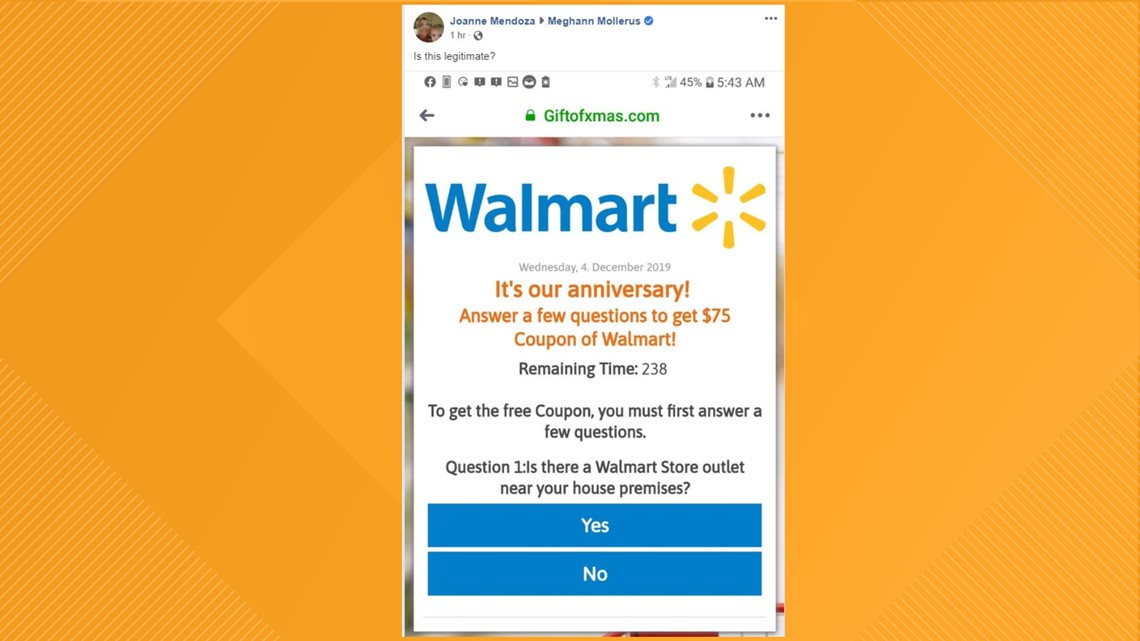 joanne mercer outlet