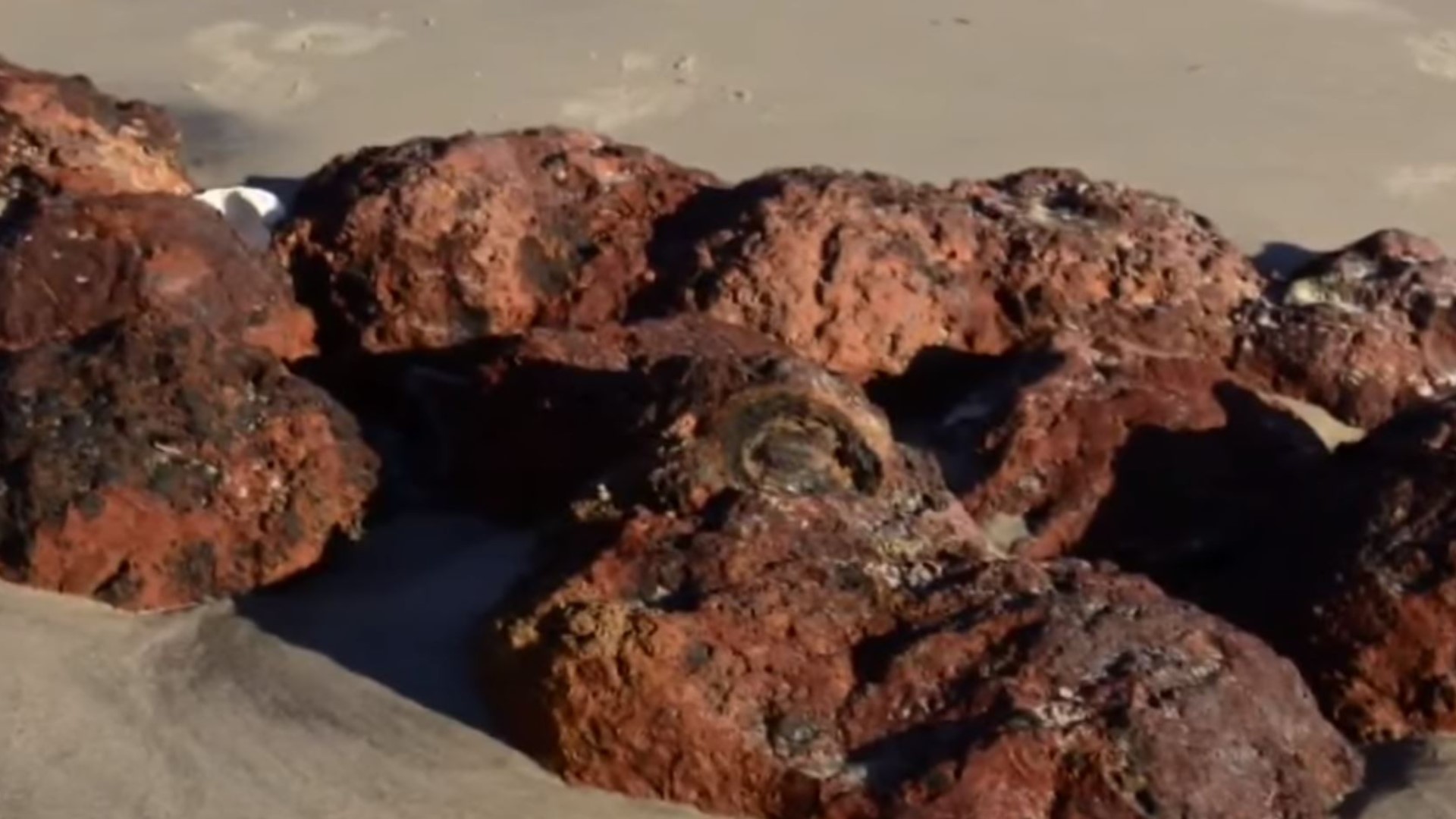 A bomb squad was called to a South Carolina beach after Hurricane Matthew apparently unearthed old Civil War cannonballs from the sand.