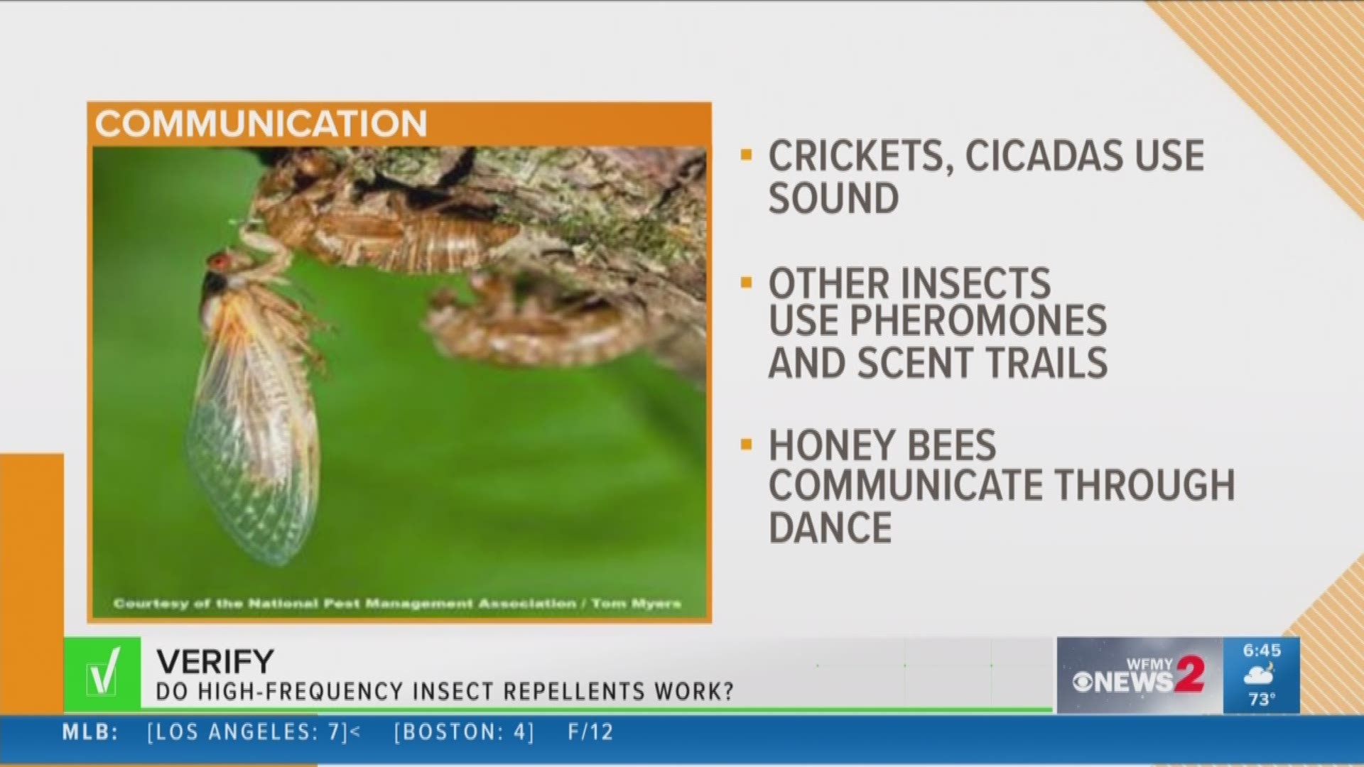 You ask; we VERIFY. High-frequency devices marketed to repel insects might not always work as intended, depending on the type of pest they’re targeting.