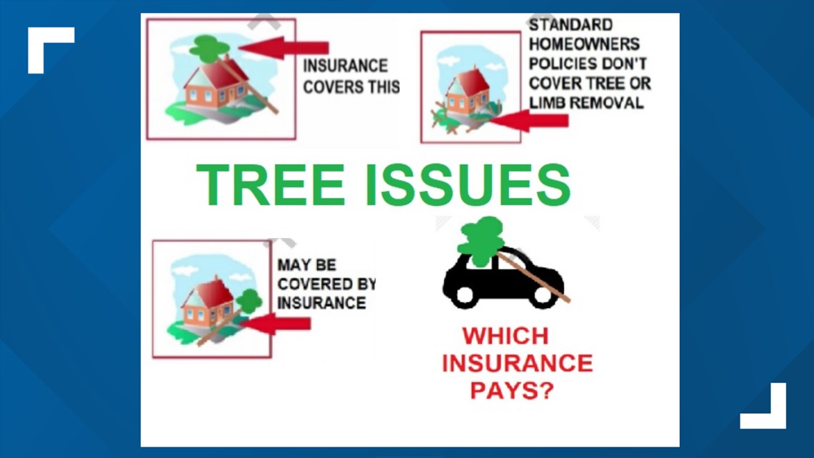 Tree & storm damage: Does insurance cover it? | 13wmaz.com