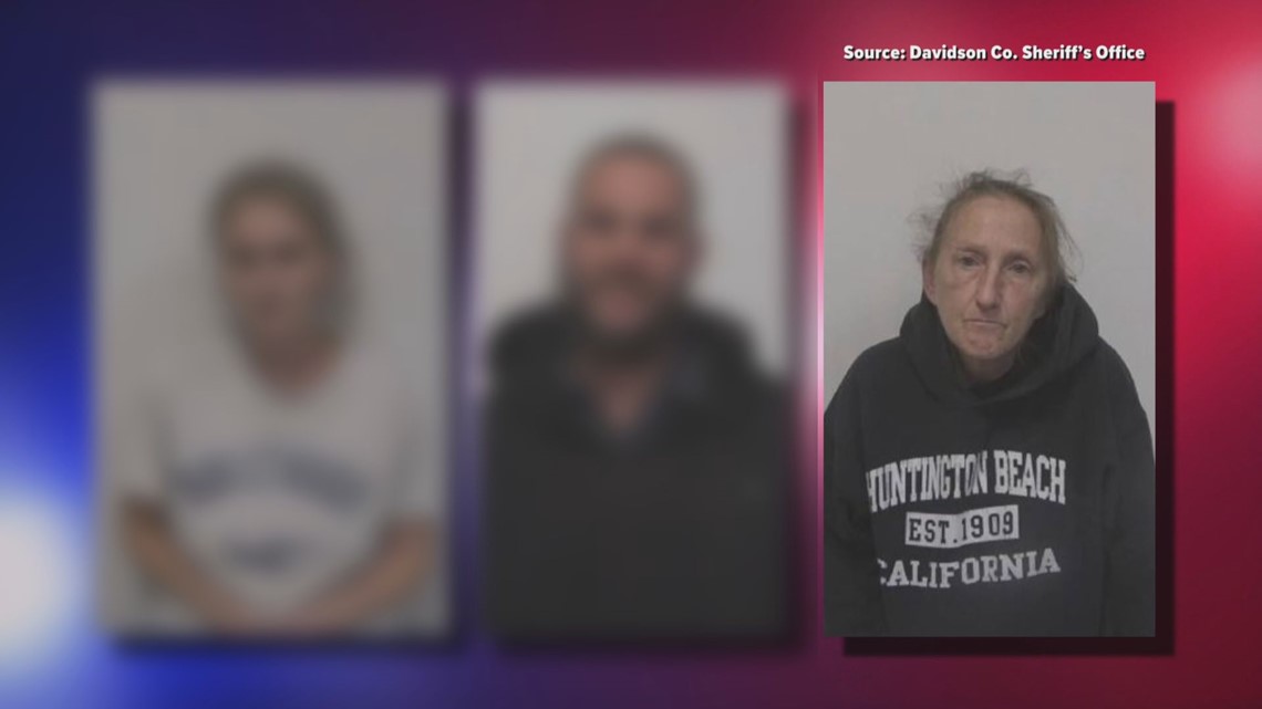 Woman pleads guilty to Davidson County child abuse case - Vimarsana News