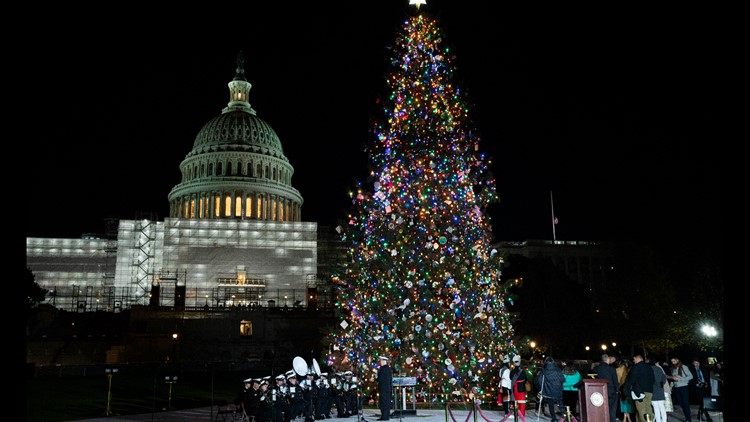 U.S. Capitol Christmas tree lighting ceremony