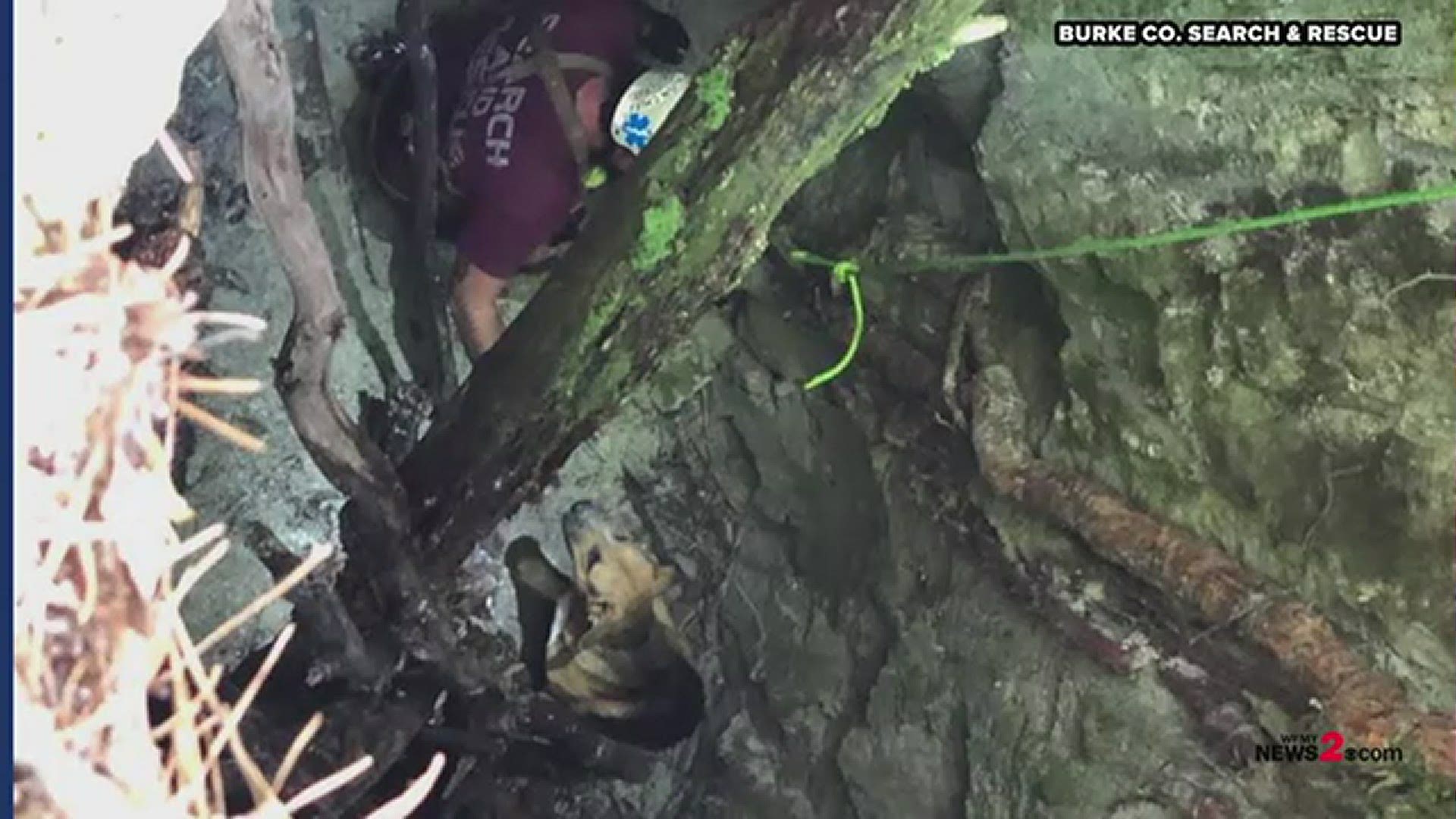 Dog rescued from inside 30-foot sinkhole in Pisgah National Forest in North Carolina.