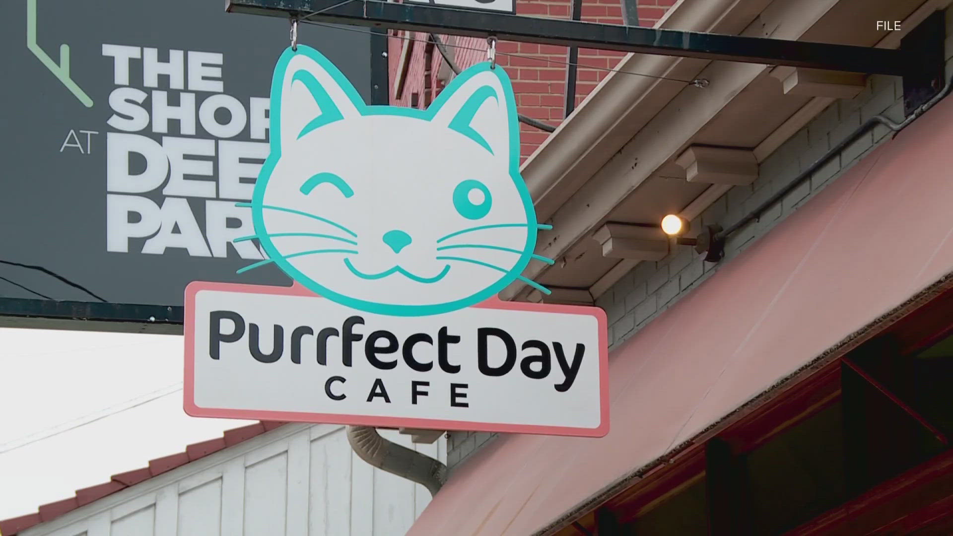 The milestone achievement comes just days after Purrfect Day Cafe celebrated its sixth anniversary.