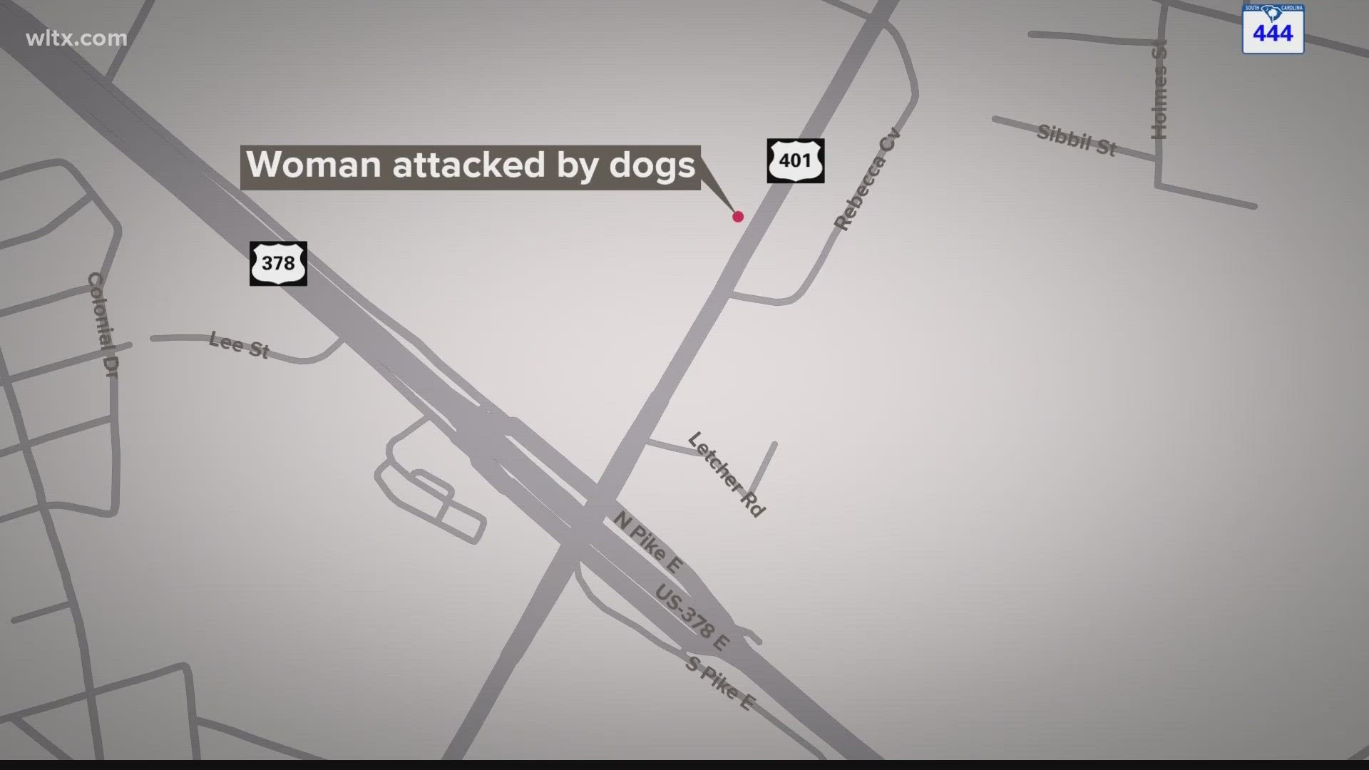 One dog killed, second dog ran away during early morning attack near intersection of Oswego Road and Robert E Graham Freeway