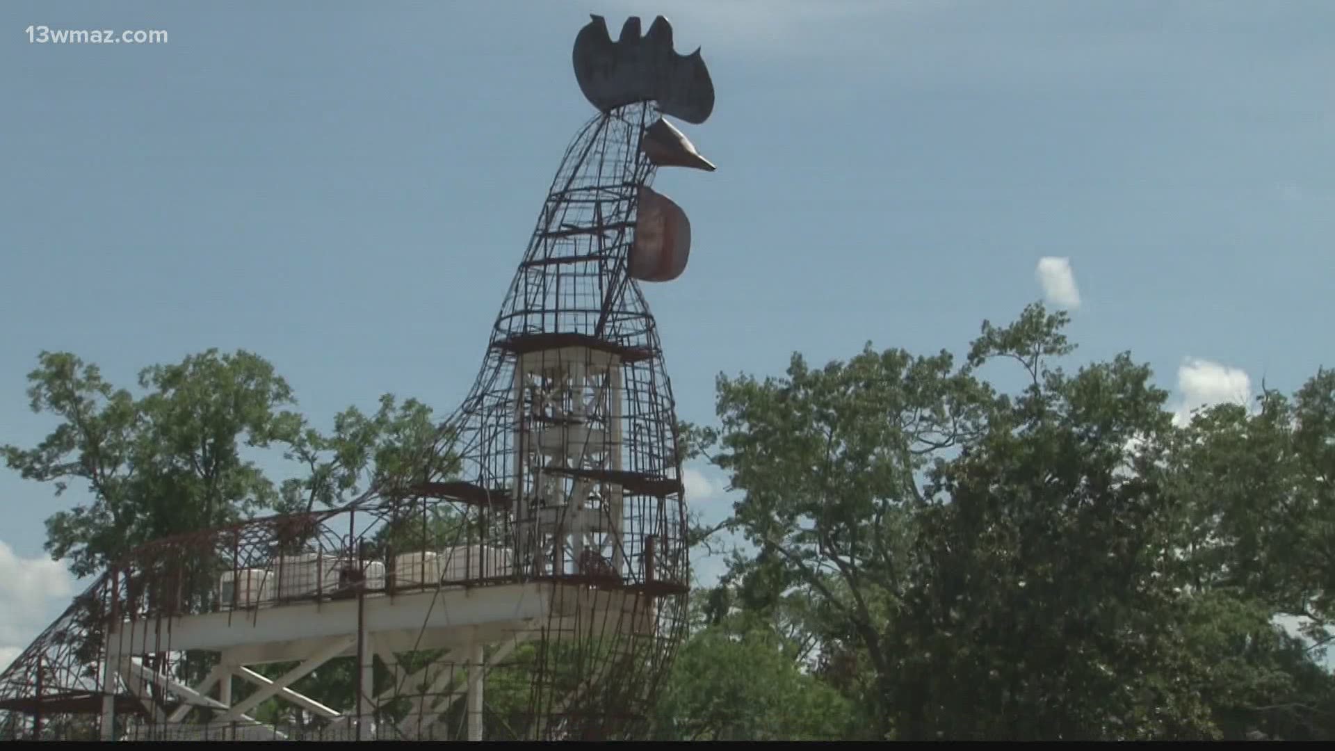 In Fitzgerald, Georgia, it's not unusual to see and hear wild chickens roaming the streets, so it makes sense they would build a giant statue to celebrate the oddity