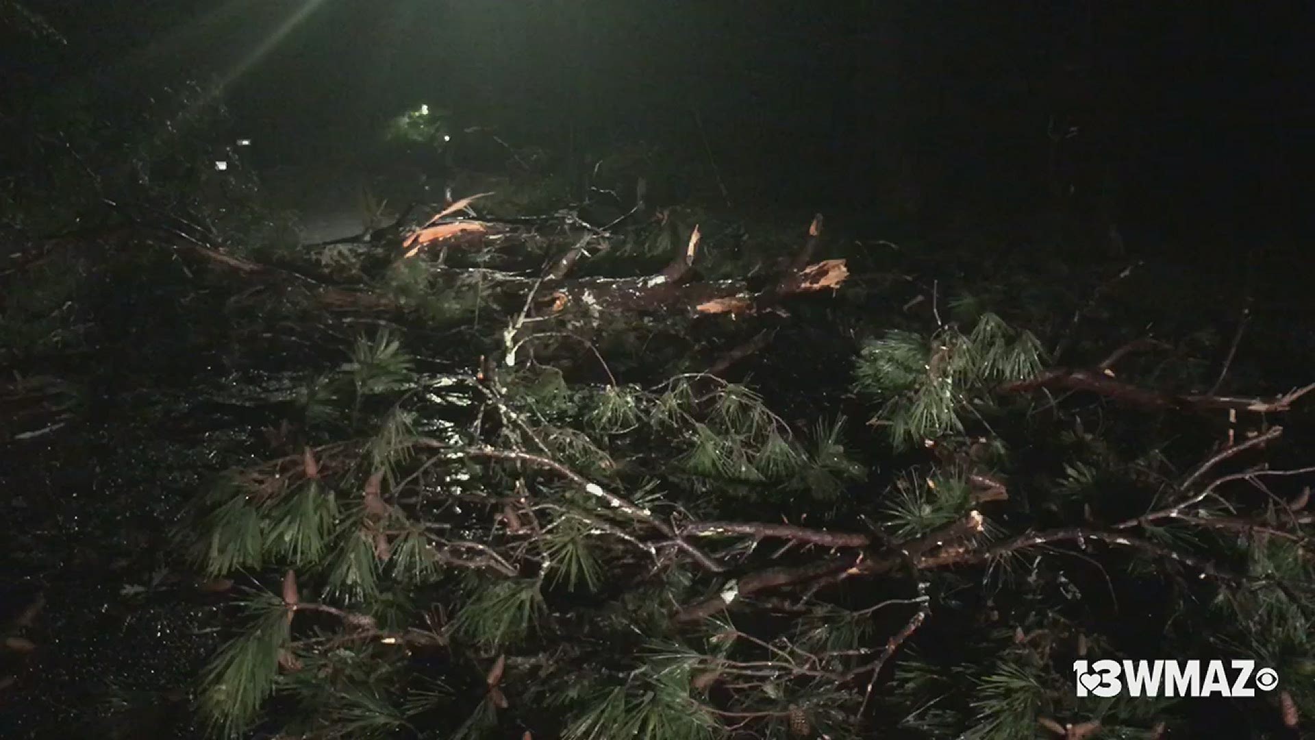 Strong winds from severe weather early Monday morning knocked trees down in north Macon