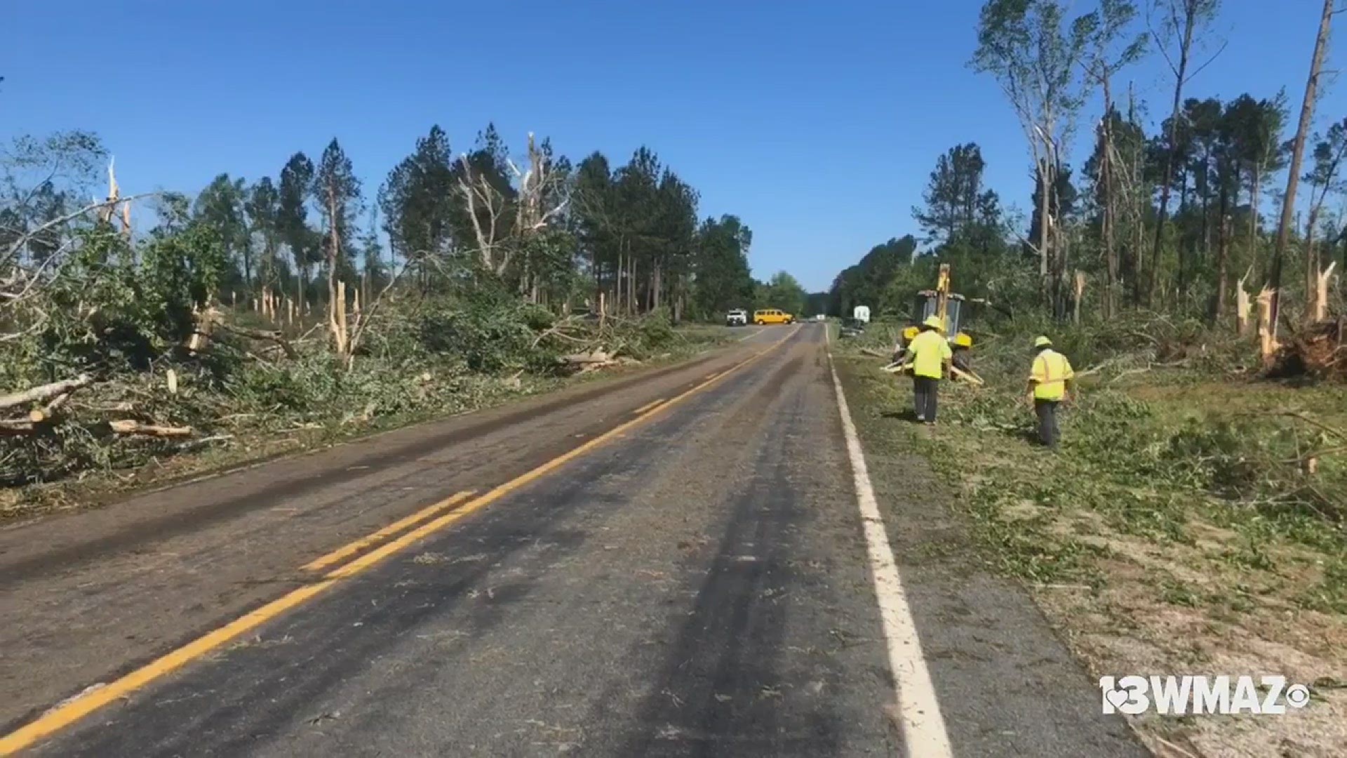 Hundreds to even thousands of trees are down along GA 232 at Bartow Road in Washington County