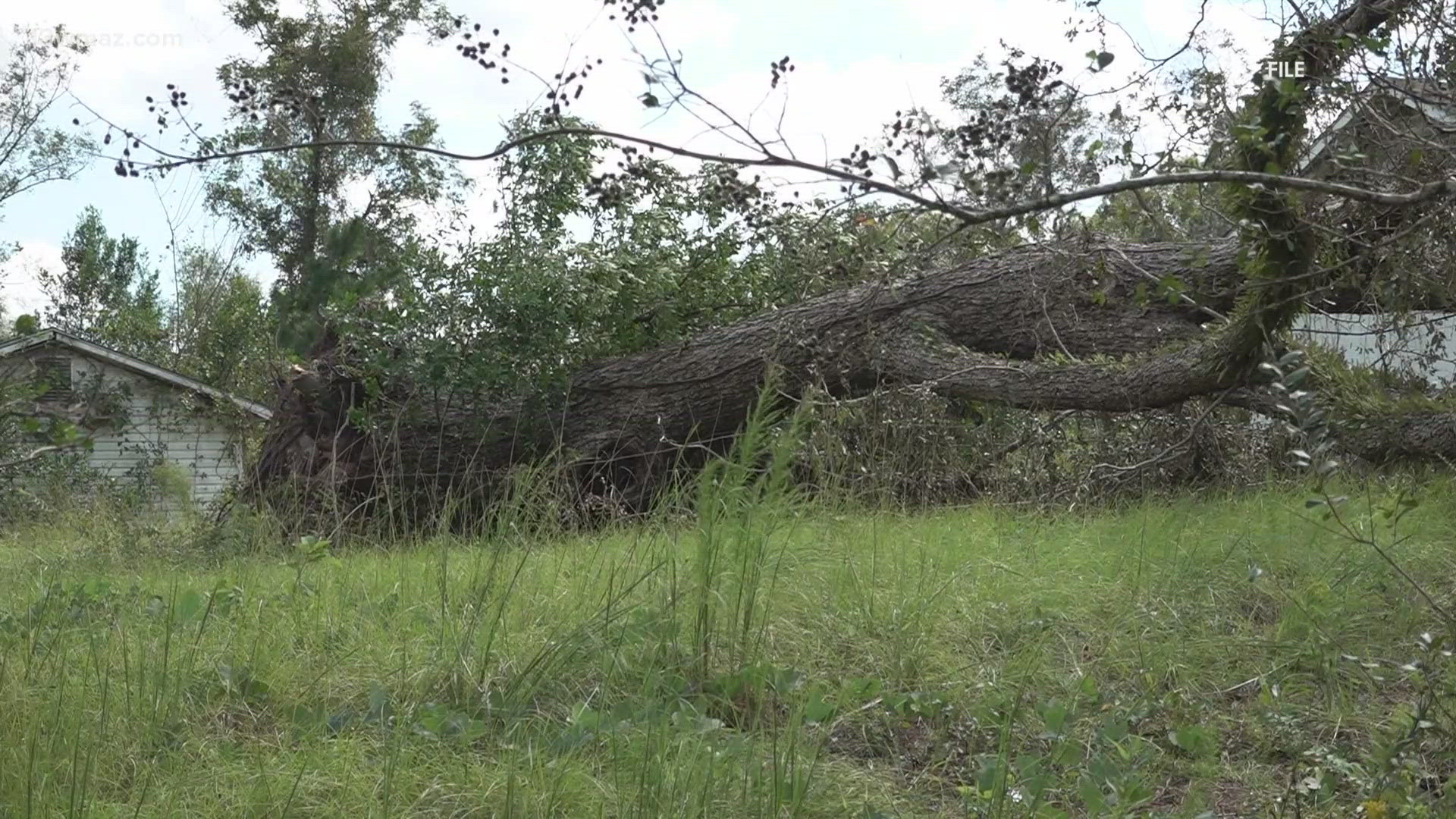 More than 40,000 people in Georgia are still without power after Hurricane Helene hit over a week ago.