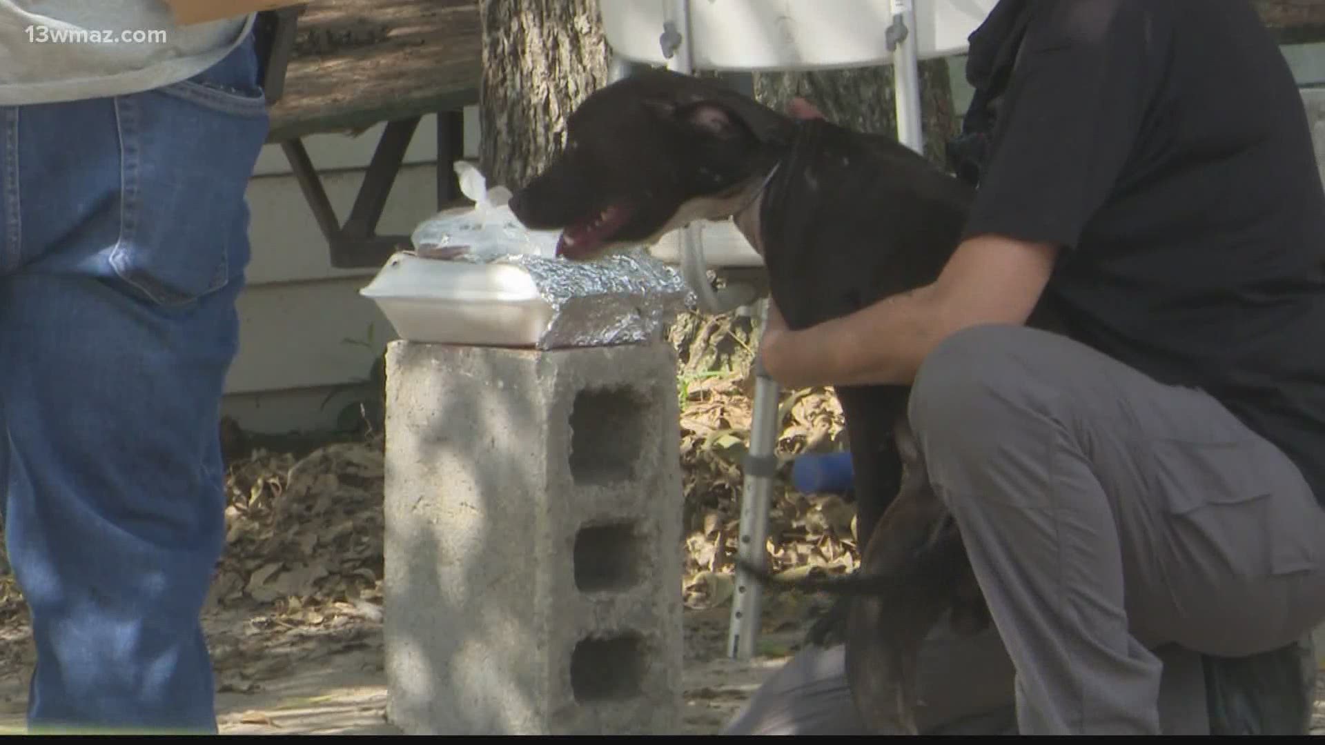 A Macon father and his son are facing charges after an eviction turned into a dog fighting investigation Wednesday morning.