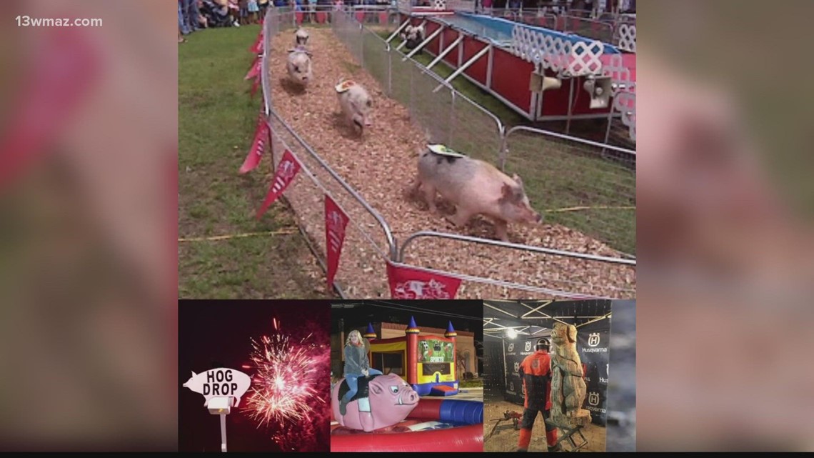Visit Unadilla, Georgia for a squealing good time at the Hog Drop - Vimarsana News