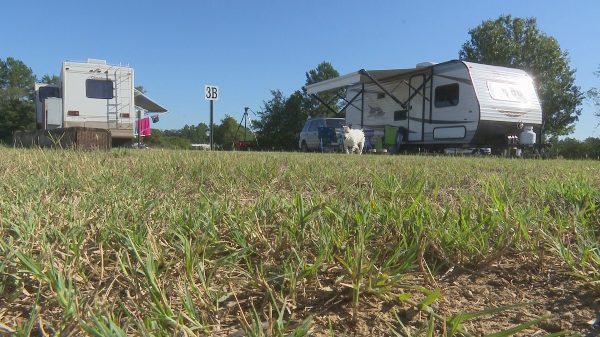 The Dublin-Laurens recreation department is allowing animals to stay for free for hurricane Dorian evacuations.
