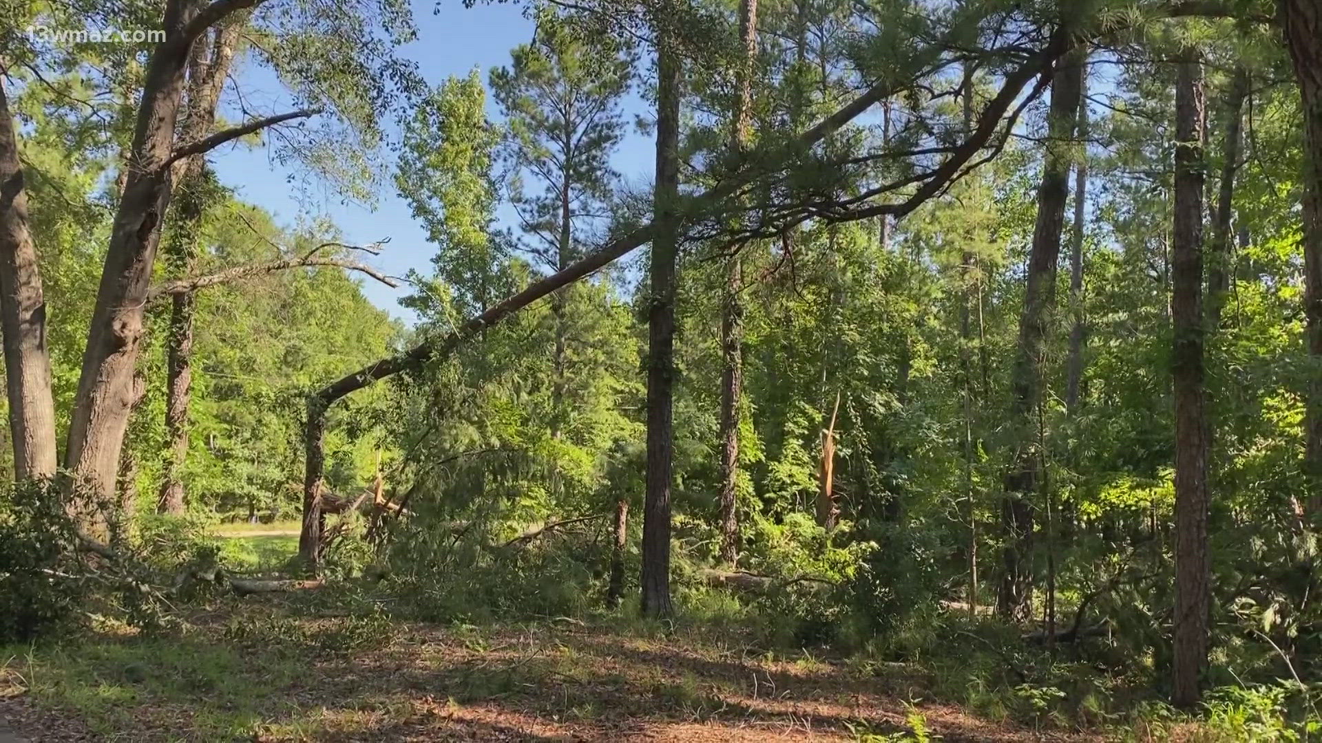 13WMAZ shows wide spread damage in Central Georgia following a line of storms on Sunday.