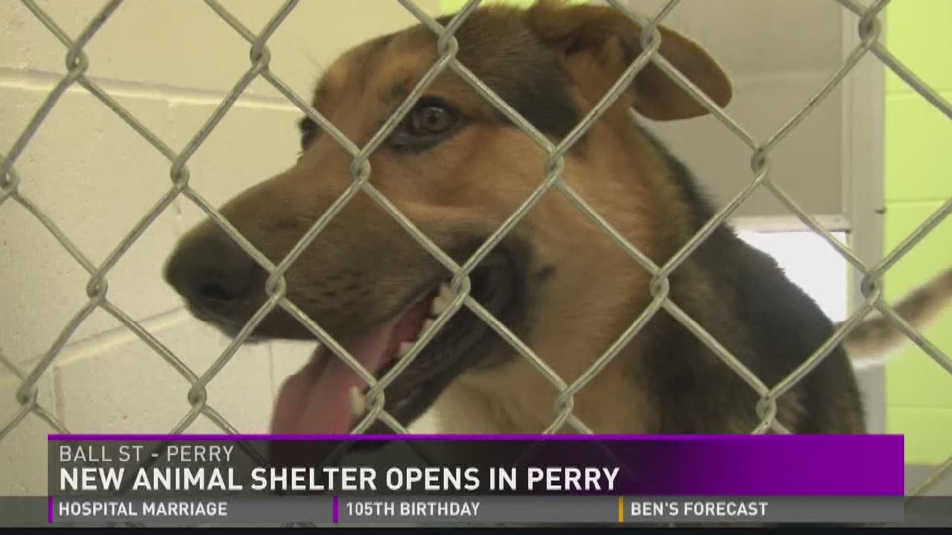 Tails wag as new animal shelter comes to Perry | 13wmaz.com