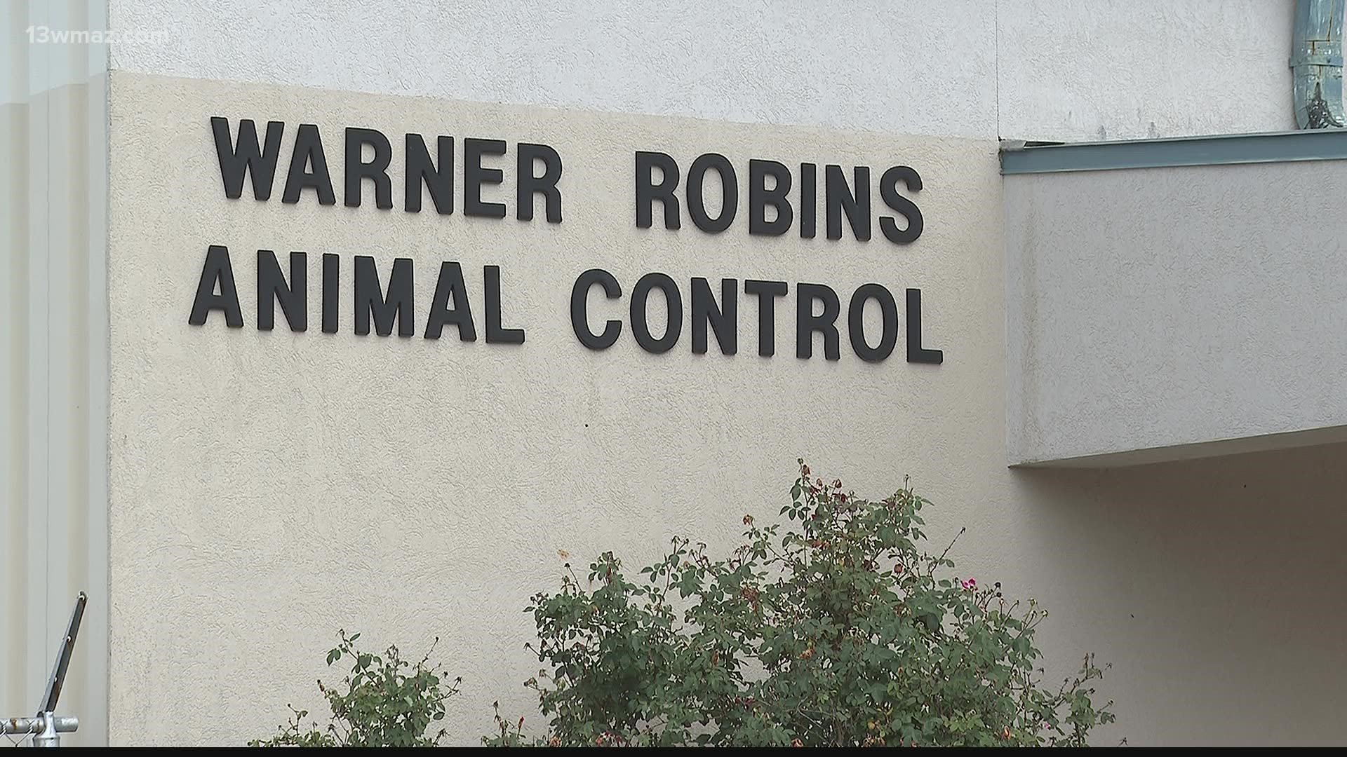 If Warner Robins Animal Control picks up your stray dog or cat, you're going to pay a lot more to get your pet back.