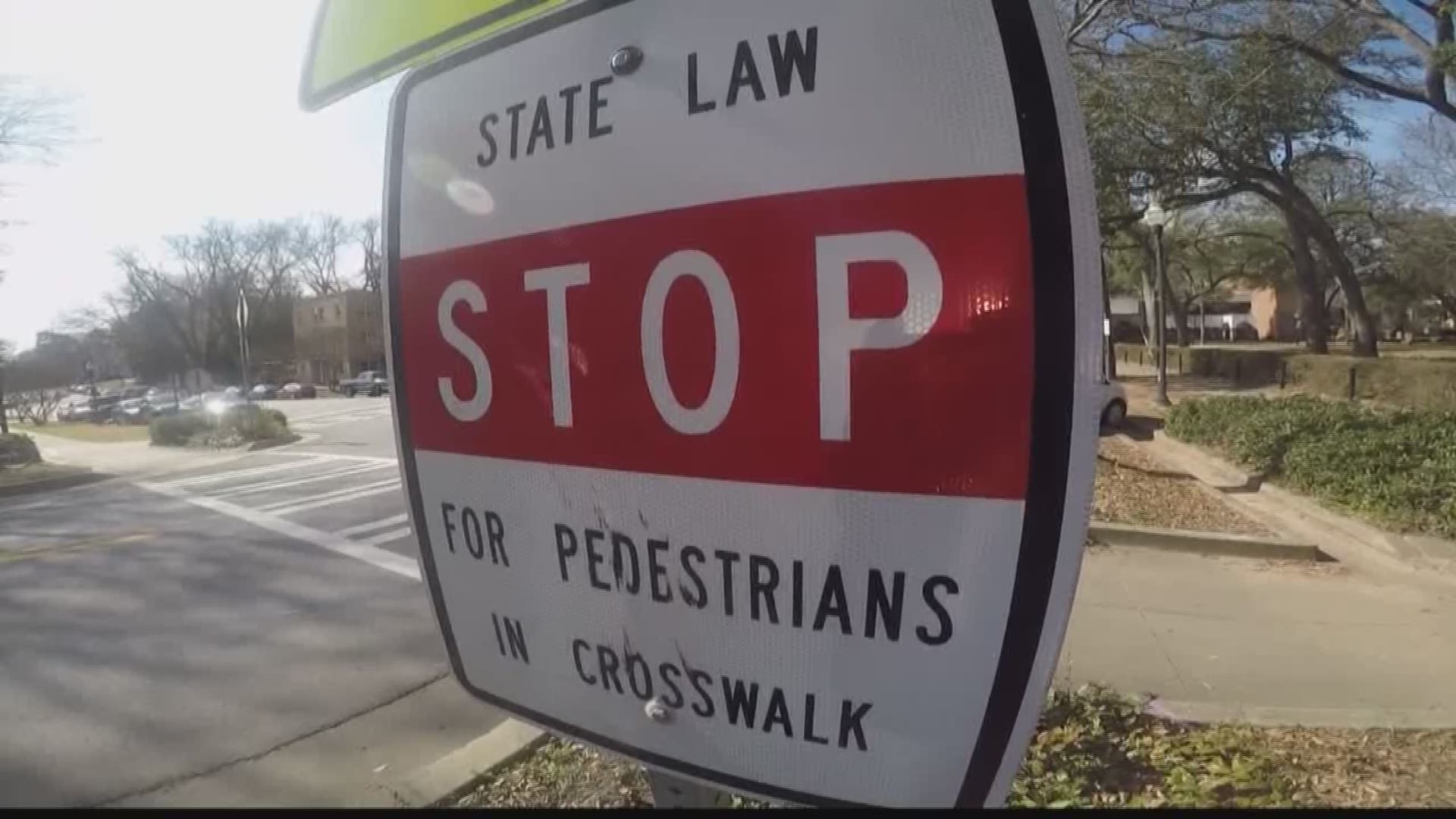 What are the Georgia Pedestrian Laws and Regulations?