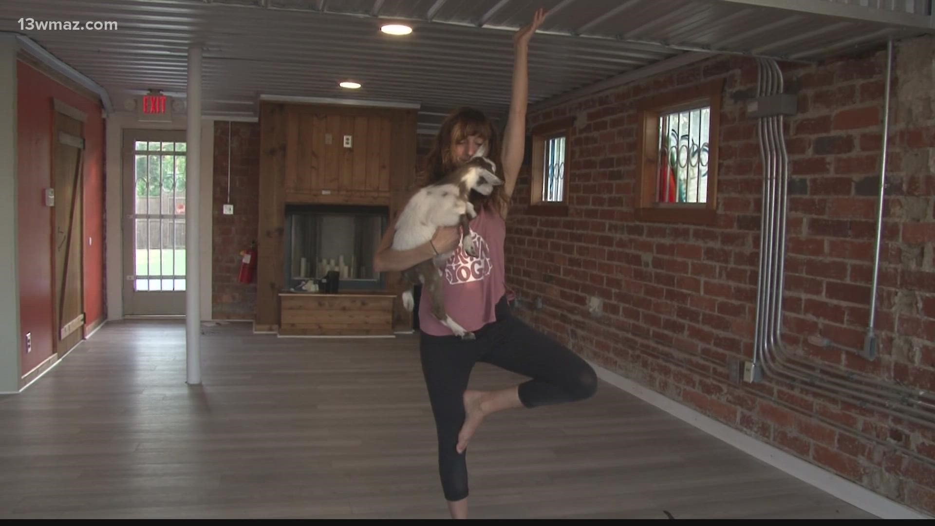 Goat Yoga is such a different way to relive stress that many central Georgians are taking part along with people around the U.S.