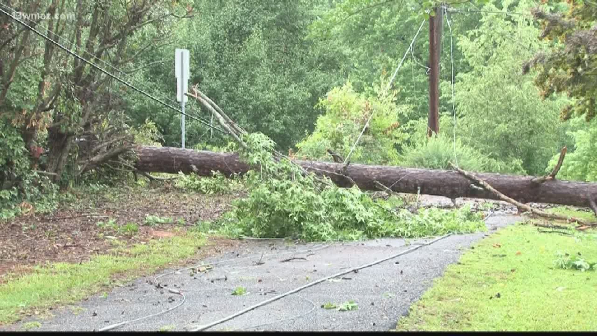 Storms swept quickly through Central Georgia Friday and left lots of trees knocked down throughout Macon.