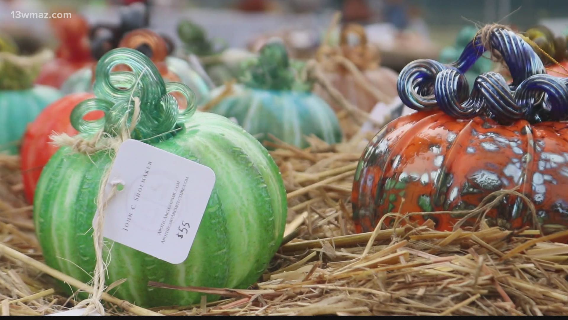 Fall is here, and Stratford Academy is celebrating with its 4th annual glass pumpkin patch.