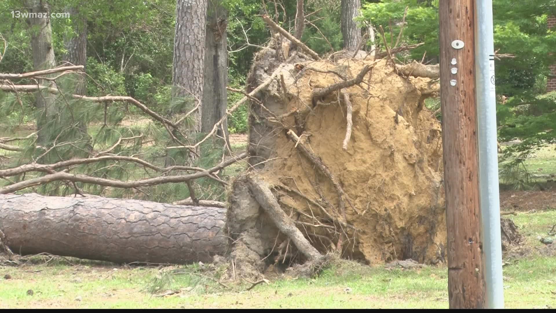 So many trees got knocked down they canceled classes at Middle Georgia State University for a few days to get the roads clear and power restored.