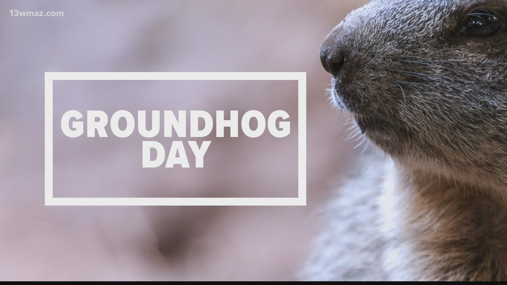 Groundhog Day gives those animals the authority to predict the weather. Meteorologist Taylor Stephenson breaks down the history and meaning behind this day.